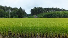 磐梯町の大石　(耶麻郡磐梯町)