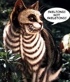 Rona Skeletonic