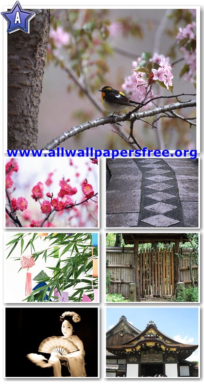 100 Beautiful Japan Views Wallpapers 1280 X 1024 [Set 3]