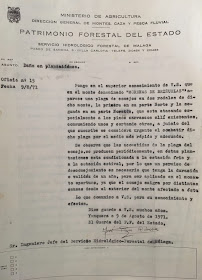 Oficio de José Pino Rivera notificando daños en plantación de las Morenas, 09/08/1971.