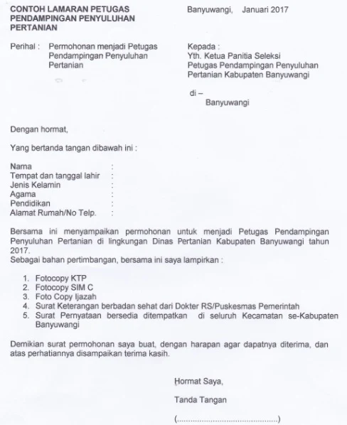 contoh surat lamaran kerja 