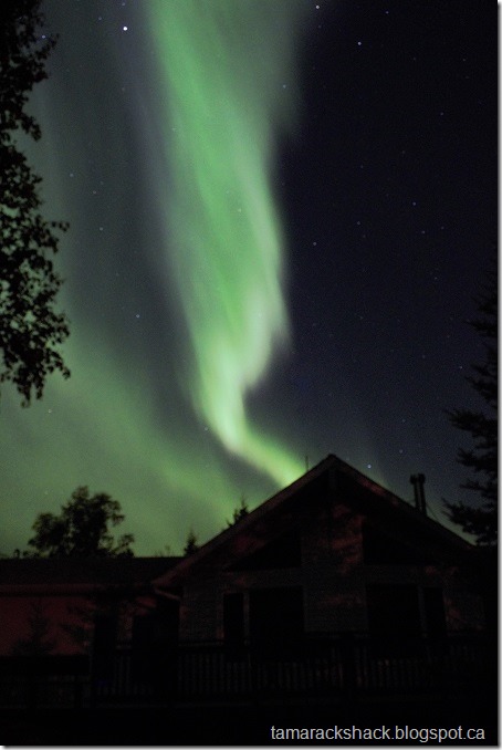 lights10