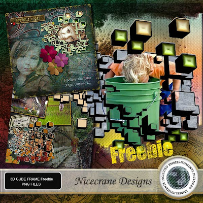 http://nicecranedesigns.blogspot.com/2009/04/incredible-3d-cube-frame-and-freebie.html