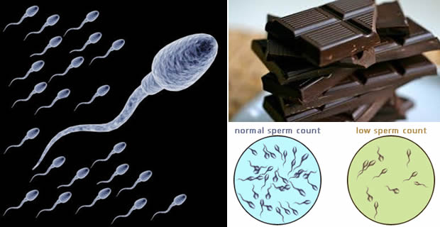 10 SUPER FOODS TO INCREASE SPERM COUNT, PRODUCTION, AND MOTILITY!