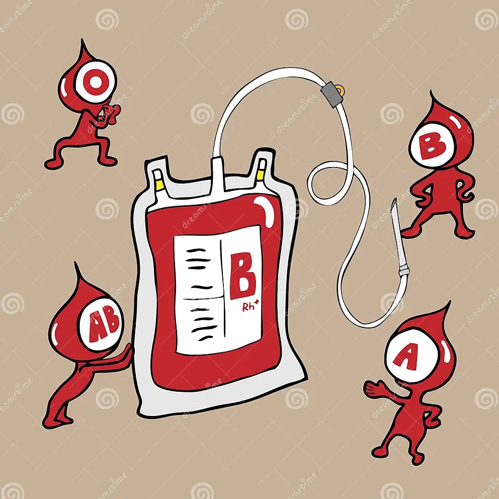 discover your blood group