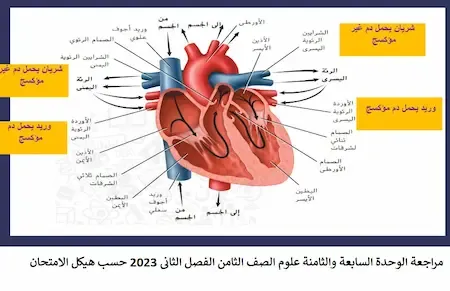 مراجعة الوحدة السابعة والثامنة علوم الصف الثامن الفصل الثانى 2023 حسب هيكل الامتحان