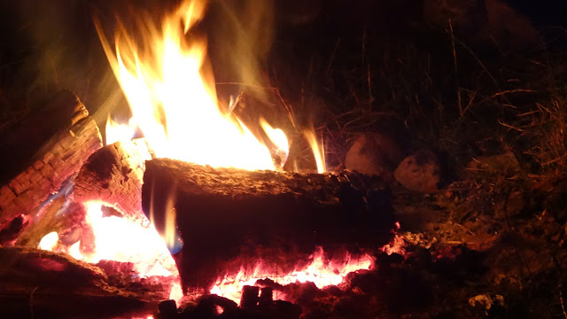 Lagerfeuer der Vernünftigen