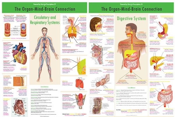 Mengenal Meta Medicine