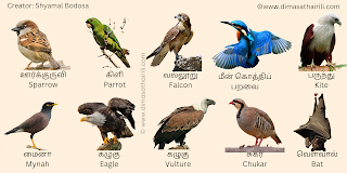 Tamil birds name