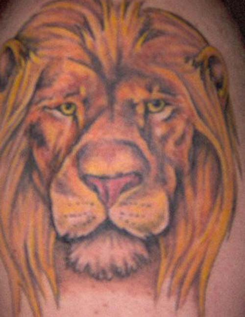 art tattoo lion leo design collection