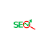Top 50 Questions on SEO .