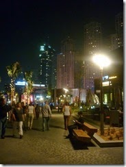 P1070156