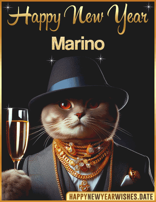 Happy New Year Cat Funny Gif Marino