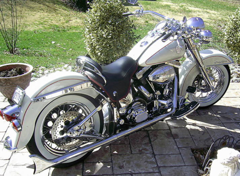  Harley  Davidson  Motorcycle Harley  Softail