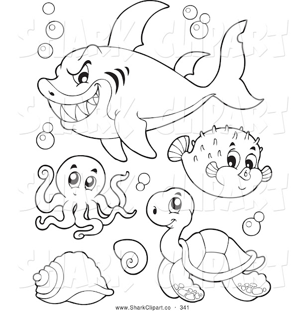 Turtle Black And White Clipart Coloring Page With  Fdacbeccafcf Stock Shark Clipart Sea Turtle And Black