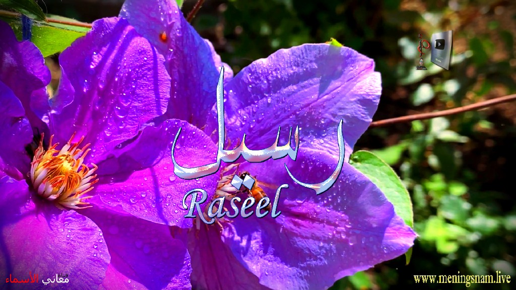 معنى اسم, رسيل, وصفات, حامل, وحاملة, هذا الاسم, Raseel,