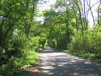 A wide country road - many were single lane