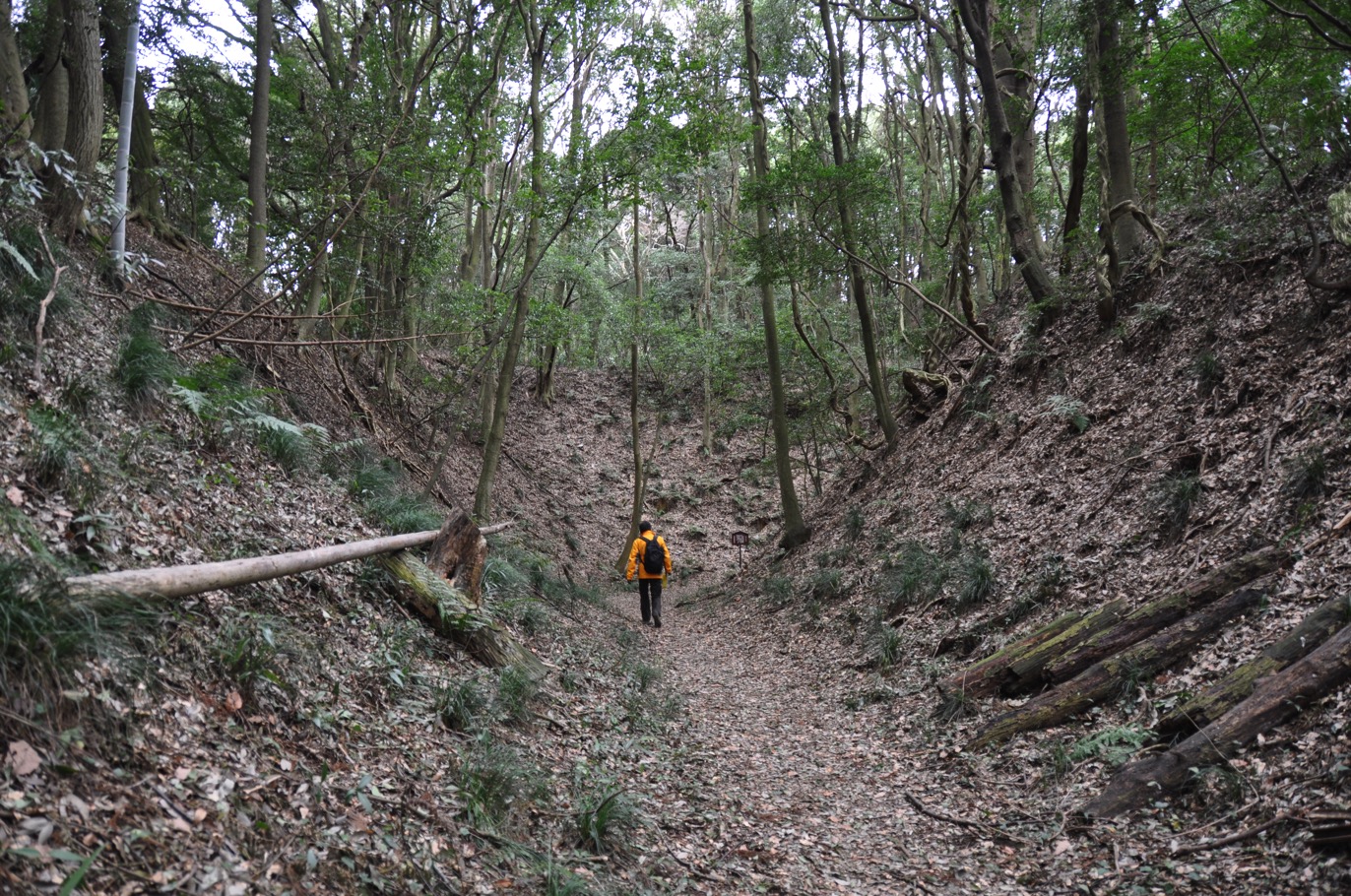 20150315 DSC 0296