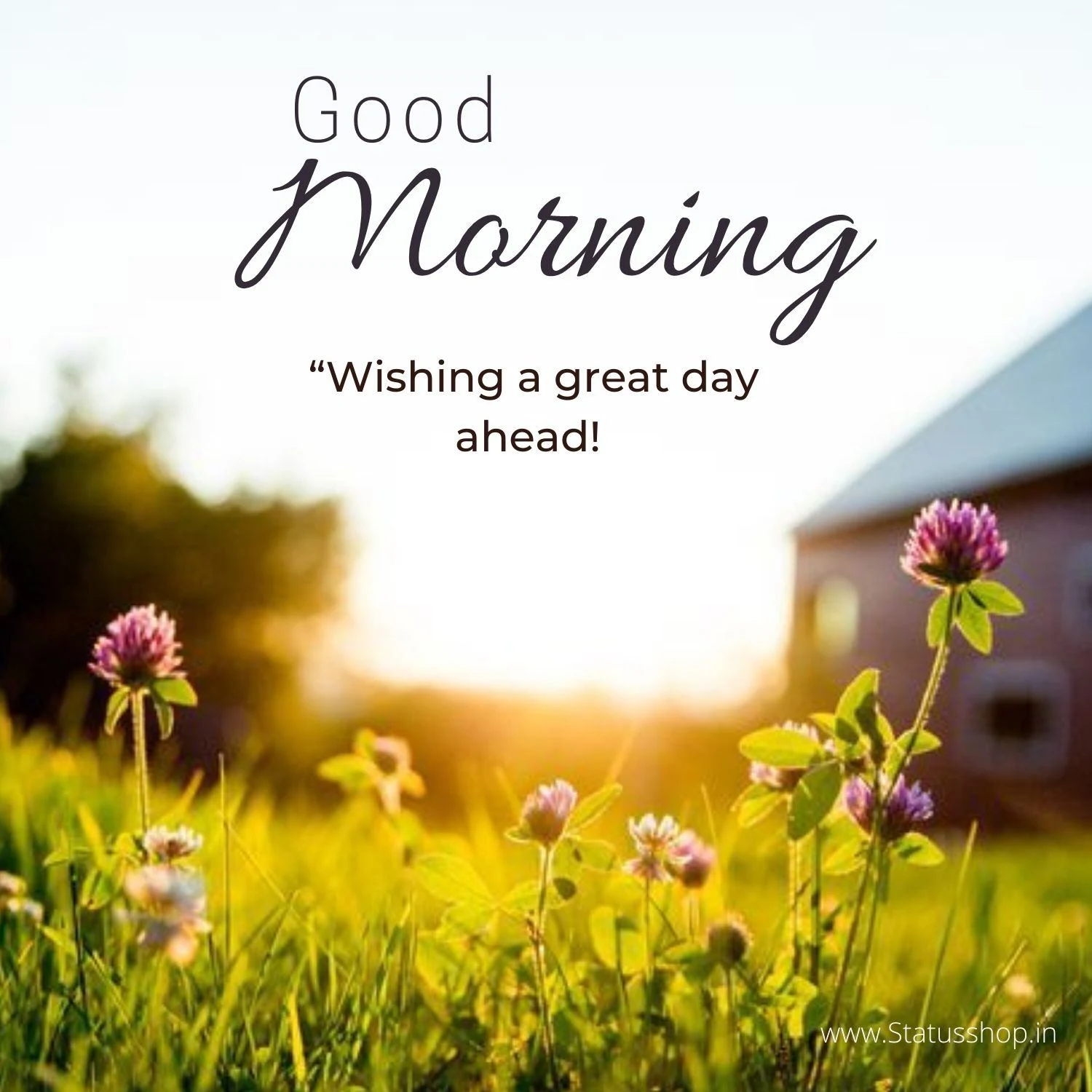 Good-Morning-Wishes-New