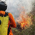 100 Petugas Gabungan Terlibat, Kobaran Api di Lereng Ciremai Dilaporkan Padam