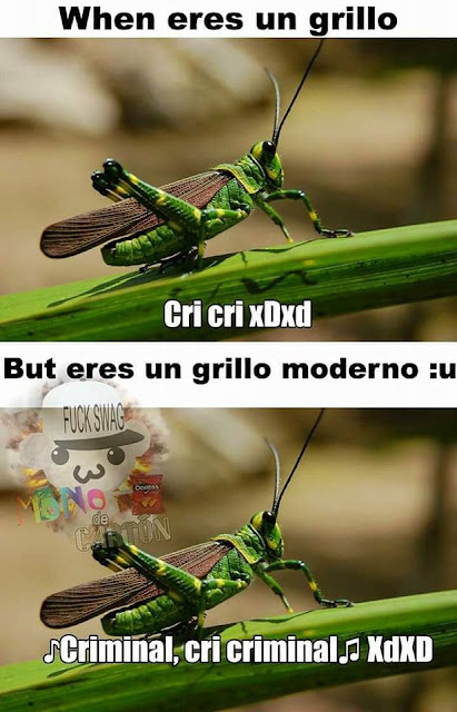 El grillo moderno