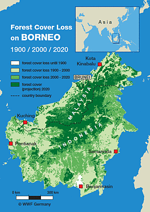 Ancaman terhadap hutan Borneo