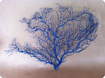 coral branch