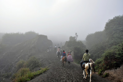 Wisata berkuda di Bromo