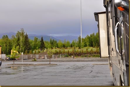 DSC_0245