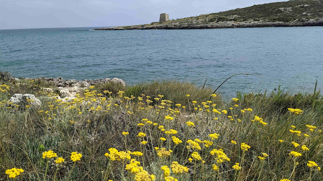 Vieste in May