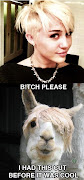 1. Miley Cyrus New Look vs The Lama. sources: 9gag and hollywoodleek