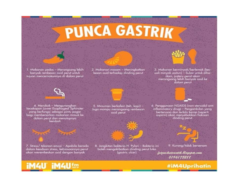 Sihat Dan Cantik Dengan Shaklee: Punca Gastrik Dan Cara ...