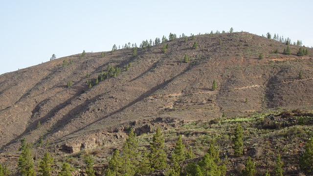 Tejina Mountain from Camino Montiel, Tenerife