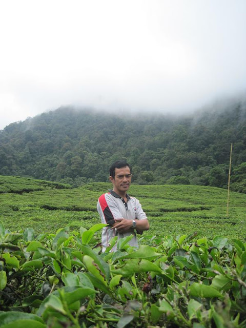 Telaga Warna Puncak Pass Cisarua