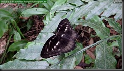 20150612_113343_122_FuYang_Park