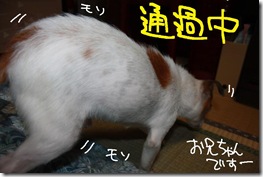今日カズ１０１１０３　２