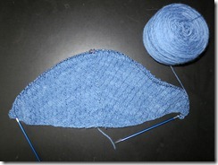 Copykat shawl take 2 -2