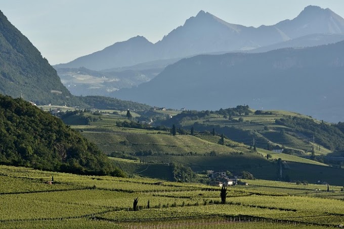 Merano Wine Festival: il 6 e 7 novembre in degustazione le tre medaglie d'oro del "The WineHunter" di Alois Lageder