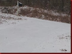 JanuarySnow1