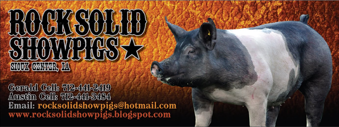 Rock Solid Showpigs