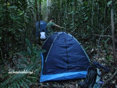 Teluk_Limau_Trek_Bako_National_Park_35
