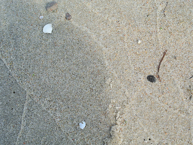 muszelki na Helu, plaża, brzeg morza, szerokie plaże