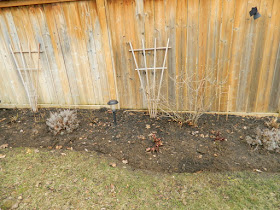 Toronto Back Garden Leaside Spring Cleanup After by Paul Jung Gardening Services--a Toronto Organic Gardening Company