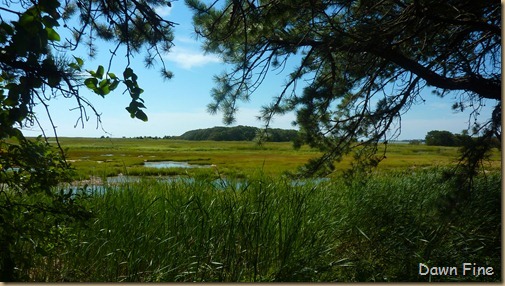 Wellfleet Audubon_002