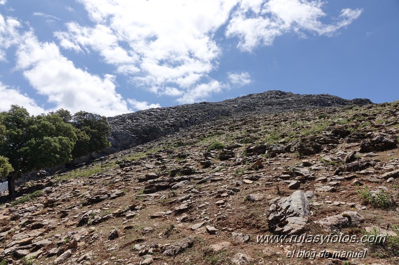 Cerro la Tala desde Conejeras