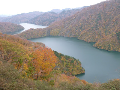 田子倉 湖 紅葉 255168