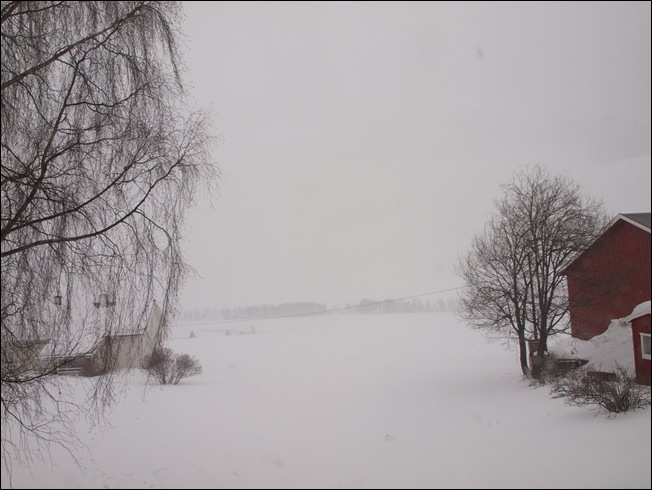 P3090464