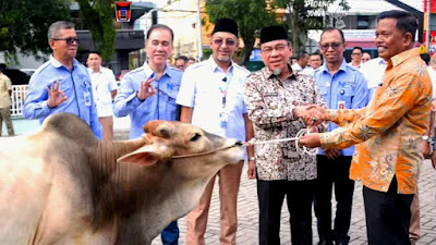 Sinergi Kebaikan Sambut Idul Adha: Perumda AM Padang Salurkan 88 Hewan Kurban, Bank Nagari Hibahkan Mobil Tangki Air