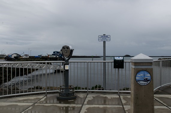 Marina and Battery Point (6 of 10)