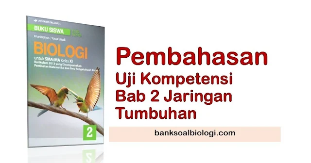 Jawaban Soal PG Biologi Kelas XI Bab 2 jaringan Tumbuhan, Buku Erlangga